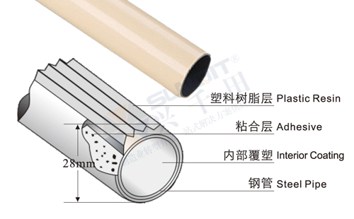 線(xiàn)棒解剖圖